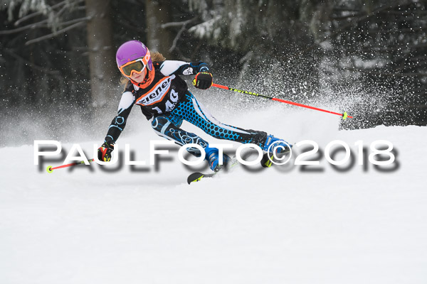 3. Ziener Cup RS