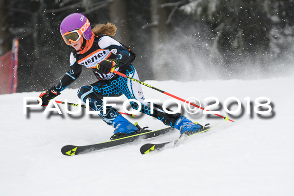 3. Ziener Cup RS