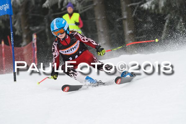 3. Ziener Cup RS