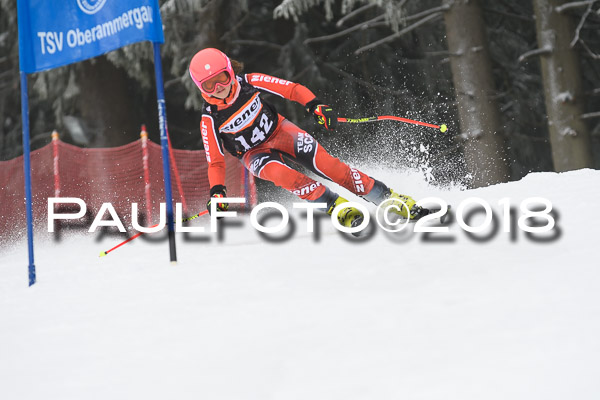 3. Ziener Cup RS