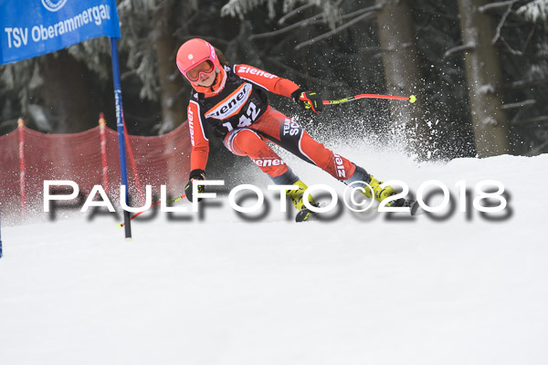 3. Ziener Cup RS