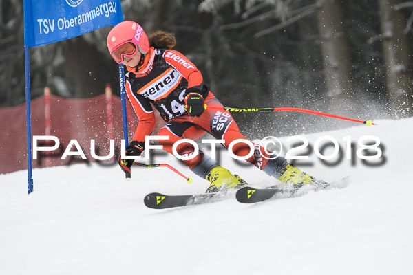3. Ziener Cup RS