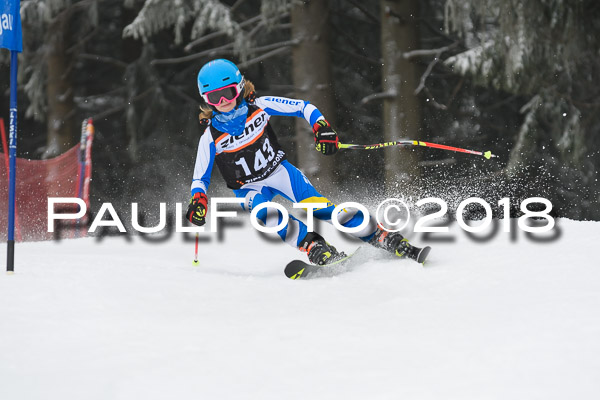 3. Ziener Cup RS
