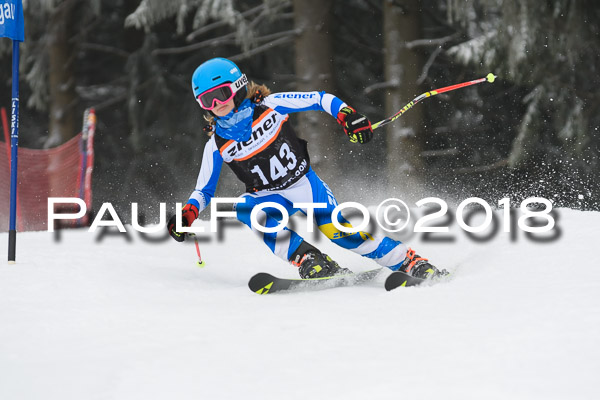 3. Ziener Cup RS
