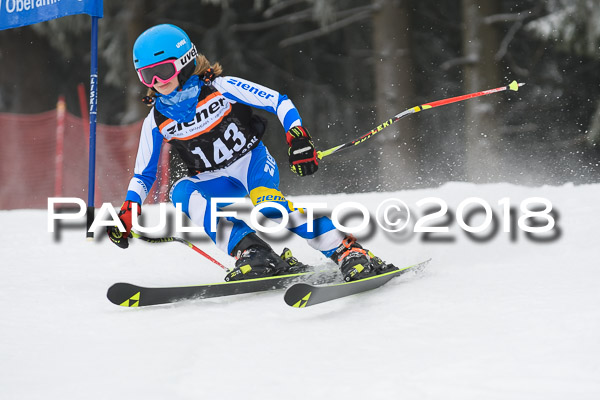 3. Ziener Cup RS