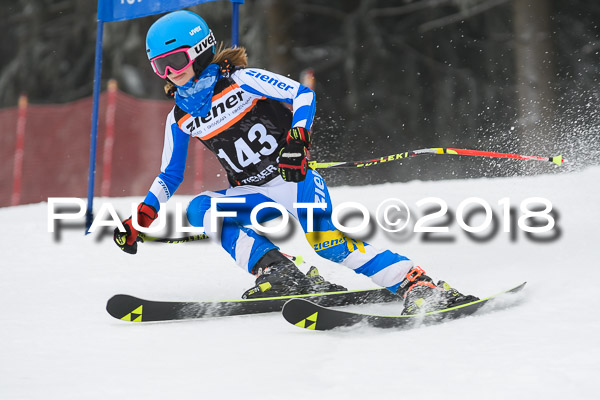 3. Ziener Cup RS