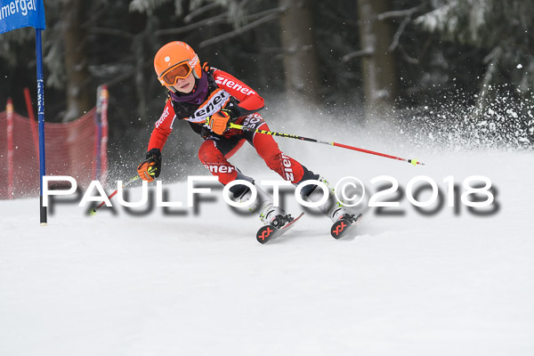 3. Ziener Cup RS