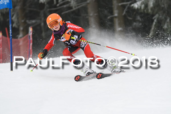 3. Ziener Cup RS