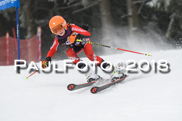 3. Ziener Cup RS