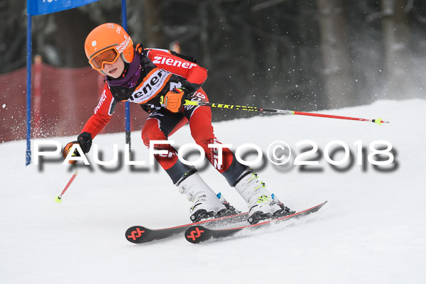 3. Ziener Cup RS