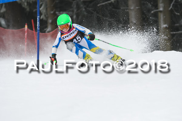 3. Ziener Cup RS
