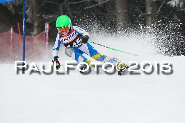 3. Ziener Cup RS