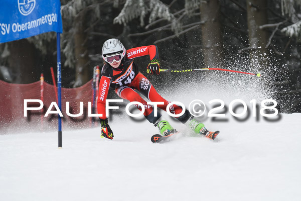 3. Ziener Cup RS