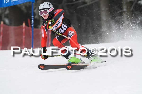 3. Ziener Cup RS