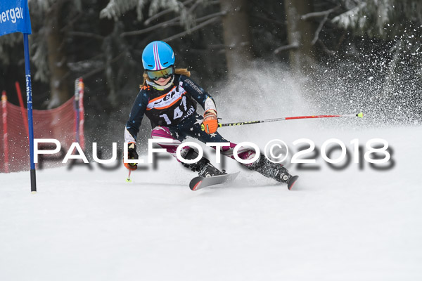 3. Ziener Cup RS