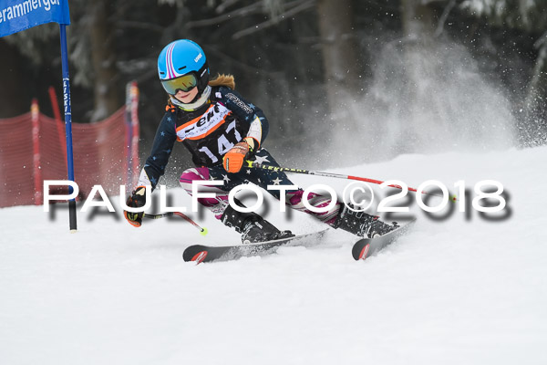 3. Ziener Cup RS