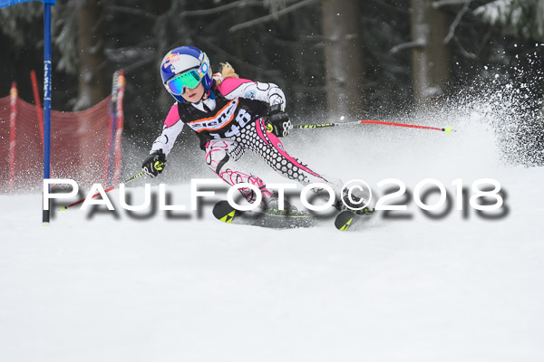 3. Ziener Cup RS