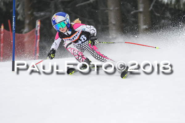 3. Ziener Cup RS
