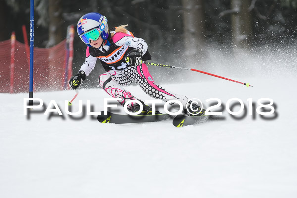 3. Ziener Cup RS