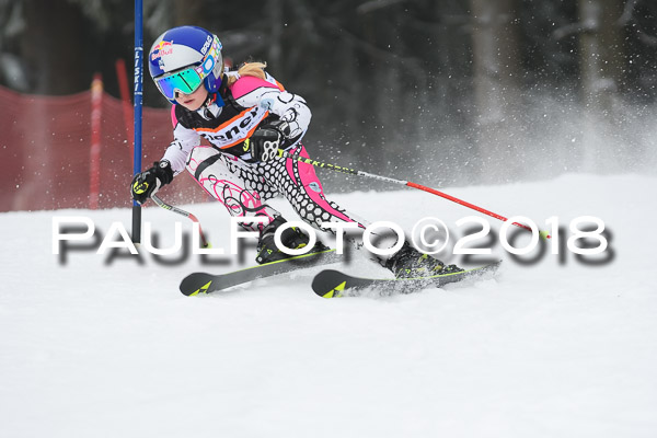 3. Ziener Cup RS