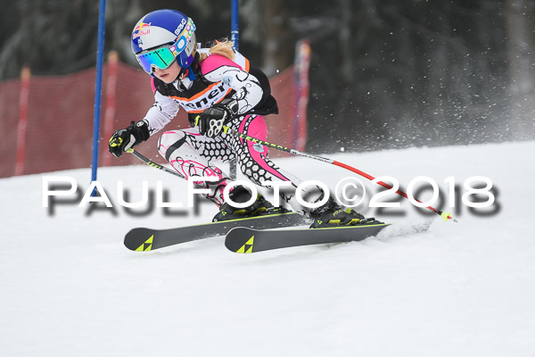 3. Ziener Cup RS