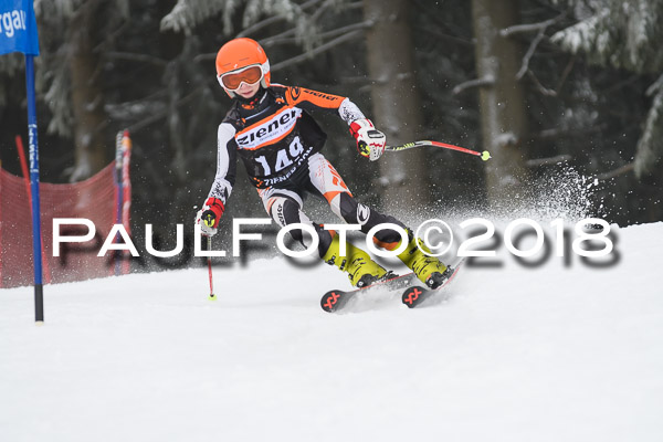 3. Ziener Cup RS