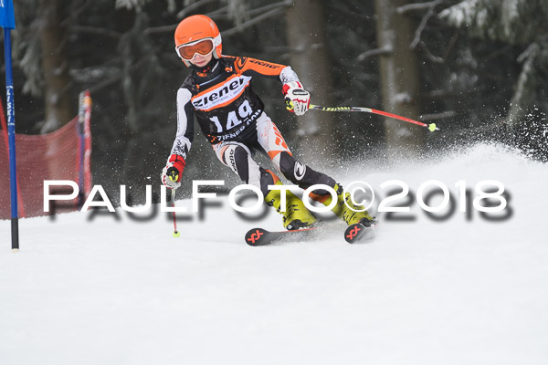 3. Ziener Cup RS
