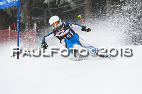 3. Ziener Cup RS
