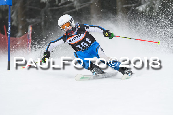 3. Ziener Cup RS