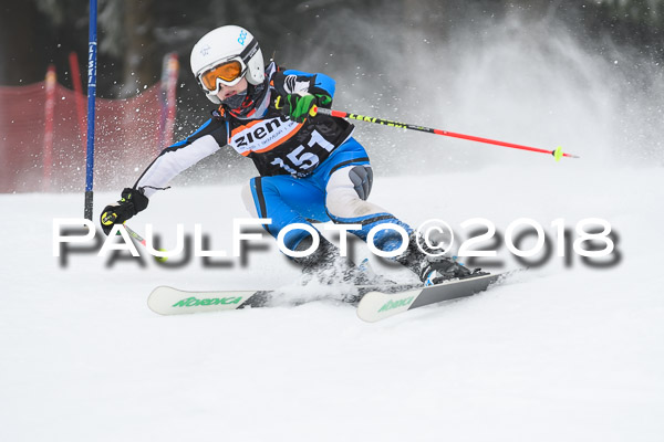 3. Ziener Cup RS