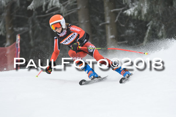 3. Ziener Cup RS