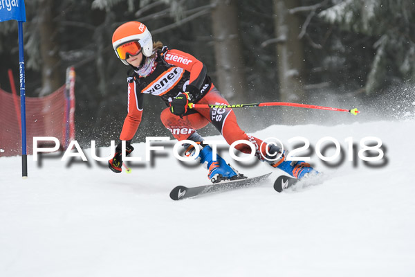 3. Ziener Cup RS