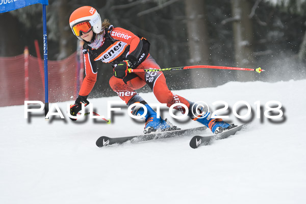 3. Ziener Cup RS