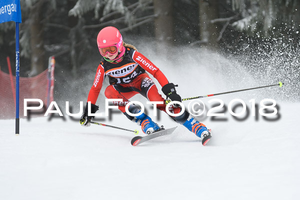 3. Ziener Cup RS