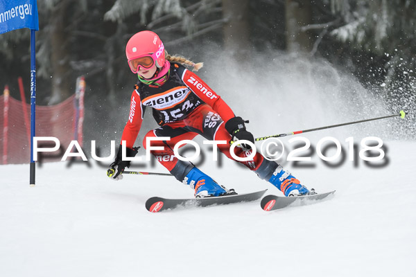 3. Ziener Cup RS