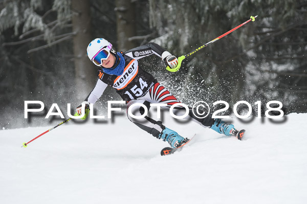 3. Ziener Cup RS
