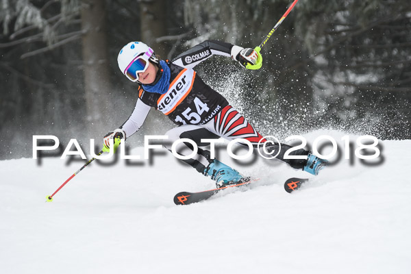 3. Ziener Cup RS