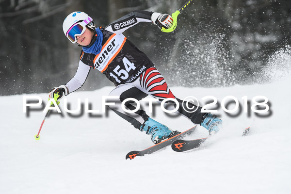 3. Ziener Cup RS