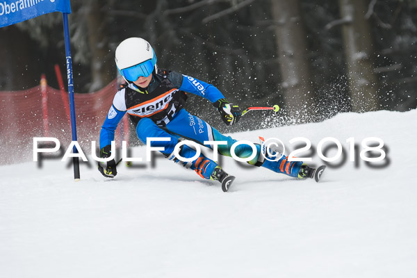 3. Ziener Cup RS