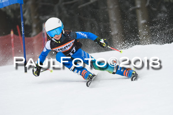 3. Ziener Cup RS