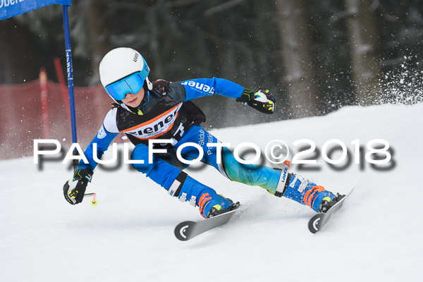3. Ziener Cup RS
