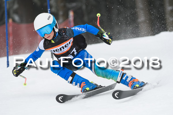 3. Ziener Cup RS