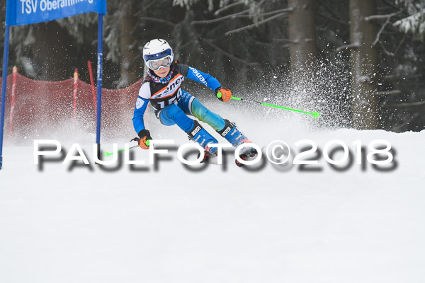 3. Ziener Cup RS