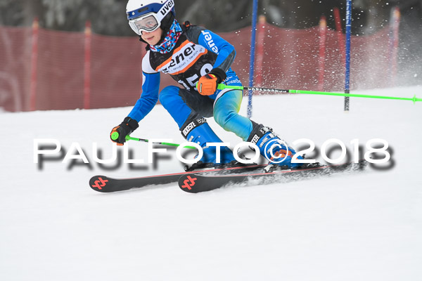3. Ziener Cup RS