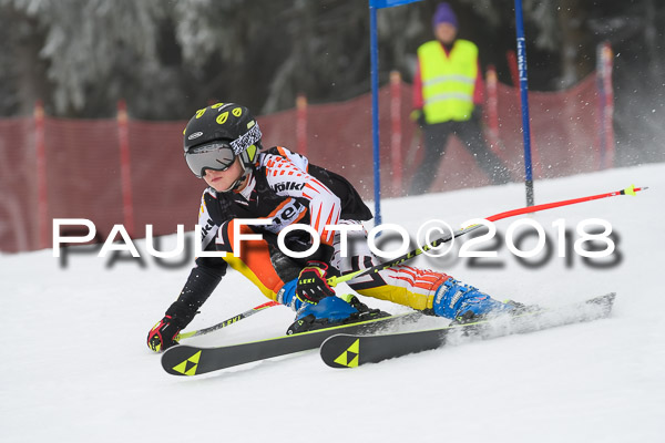 3. Ziener Cup RS