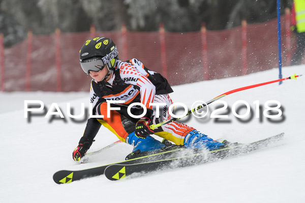 3. Ziener Cup RS