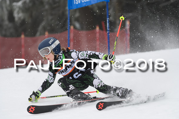 3. Ziener Cup RS
