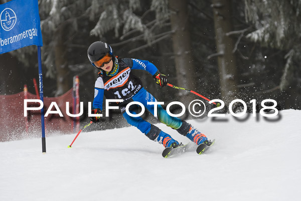 3. Ziener Cup RS