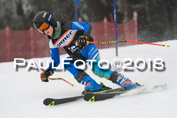3. Ziener Cup RS