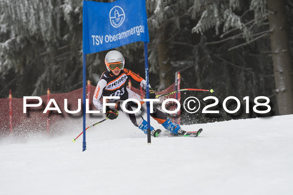 3. Ziener Cup RS